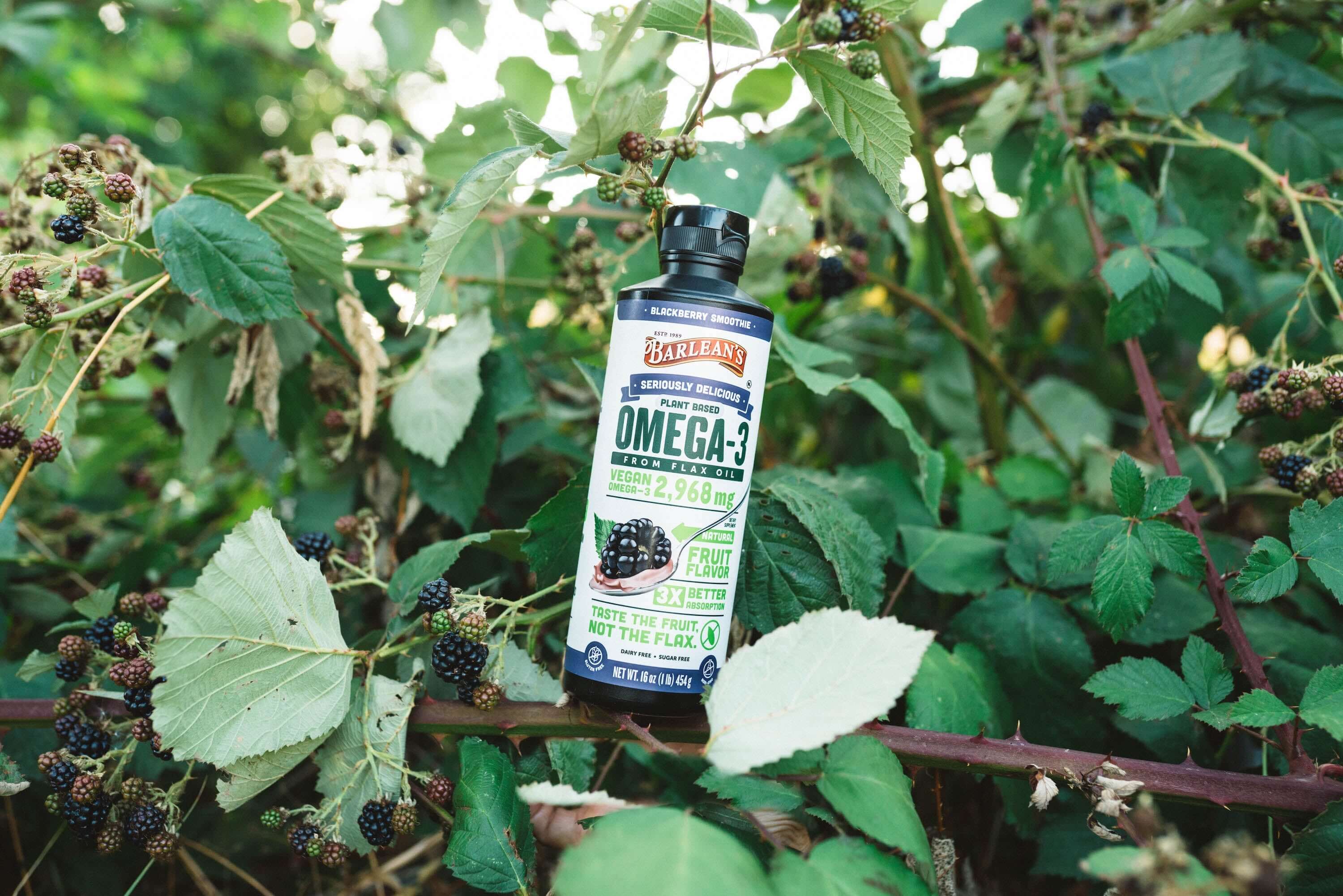 barlean's blackberry smoothie flavored flax oil outside with leaves in the background