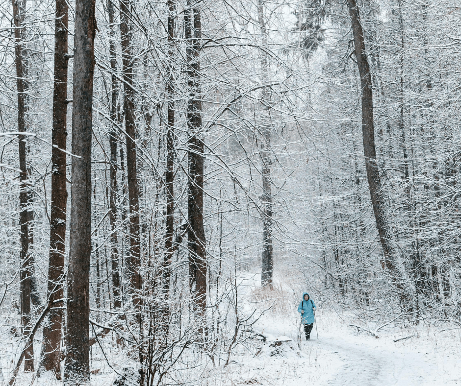 A person walking on a snowy trail surrounded by tall trees, capturing the serene beauty of a winter landscape for dry january