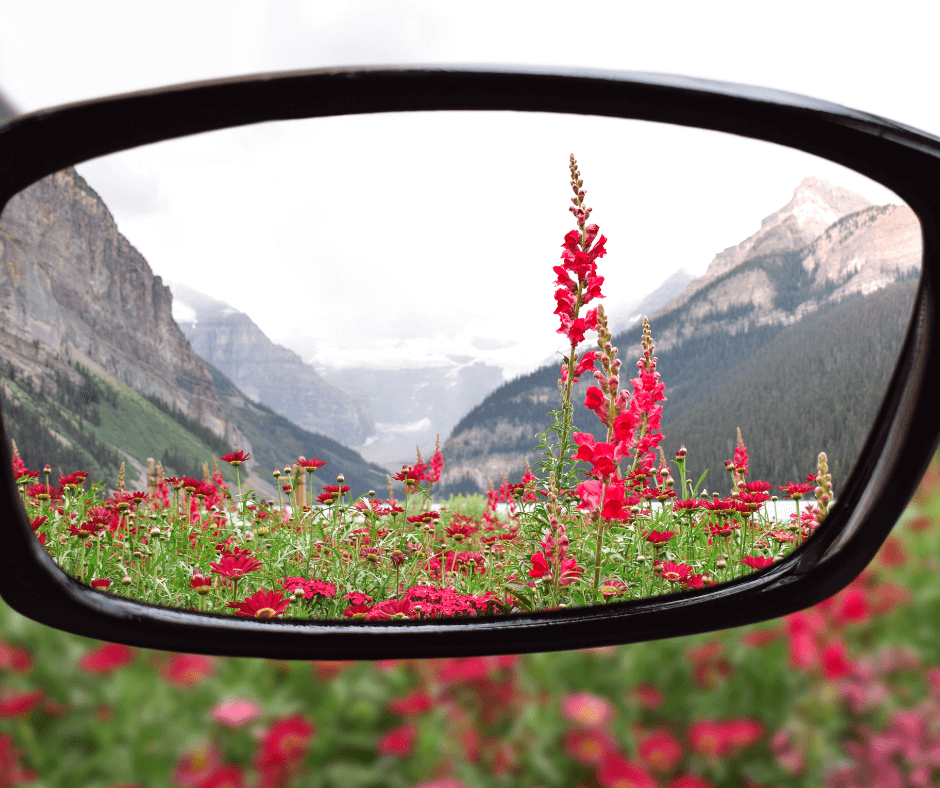 Supporting Your Daily Clarity and Wellness blog with a picture of glasses lens looking at a pnw landscape