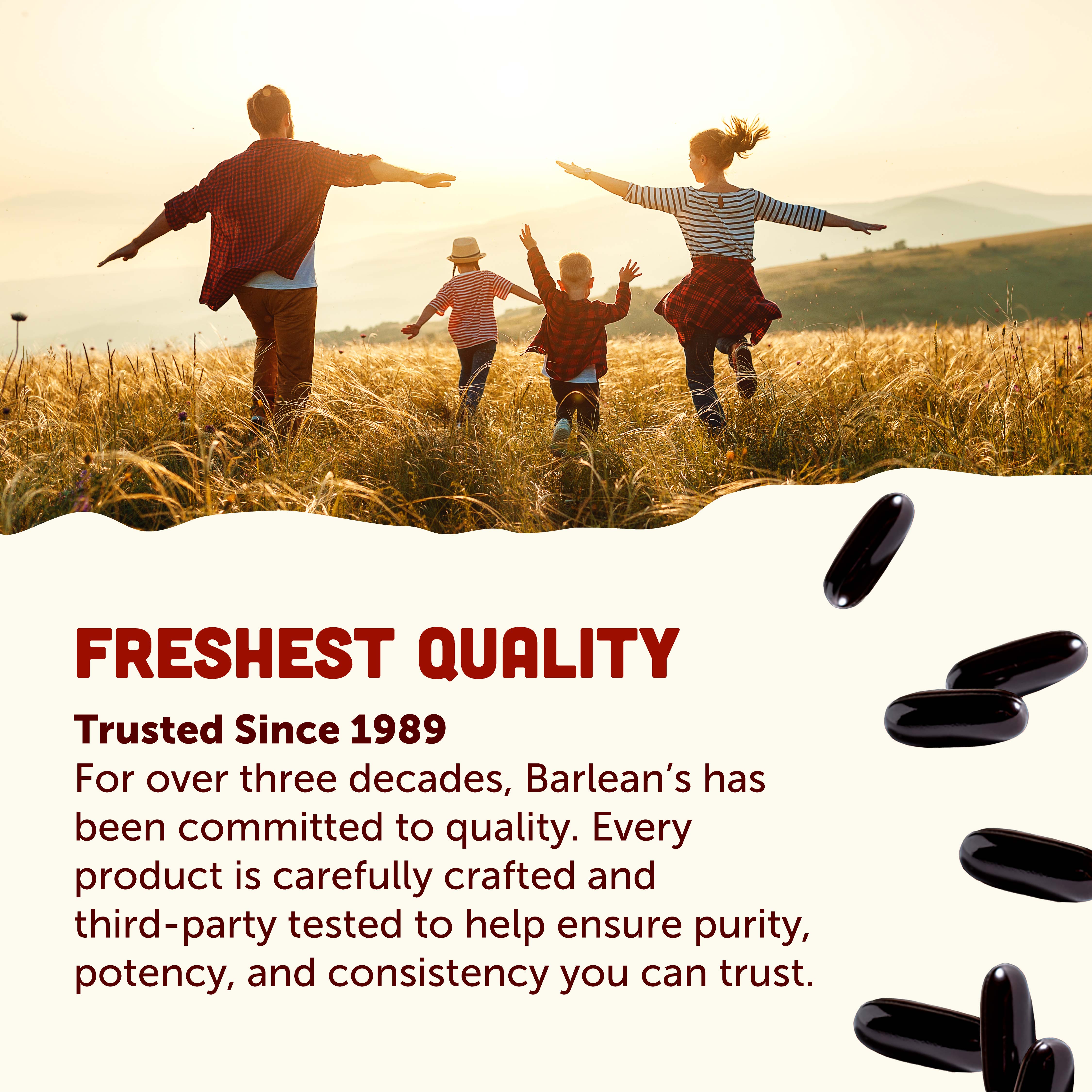 Lignan Flax Oil Softgels