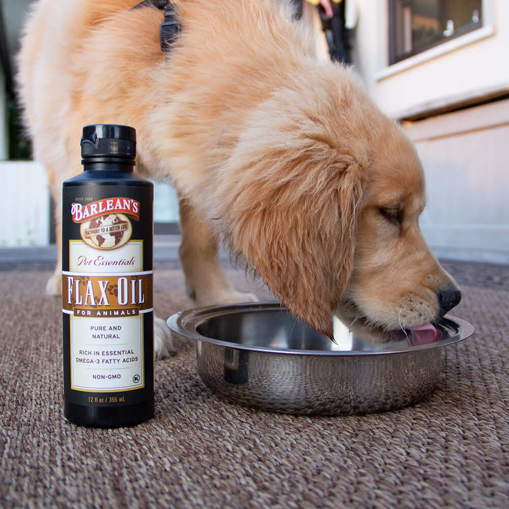 Flax Oil For Animals Barlean's Organic Oils, LLC