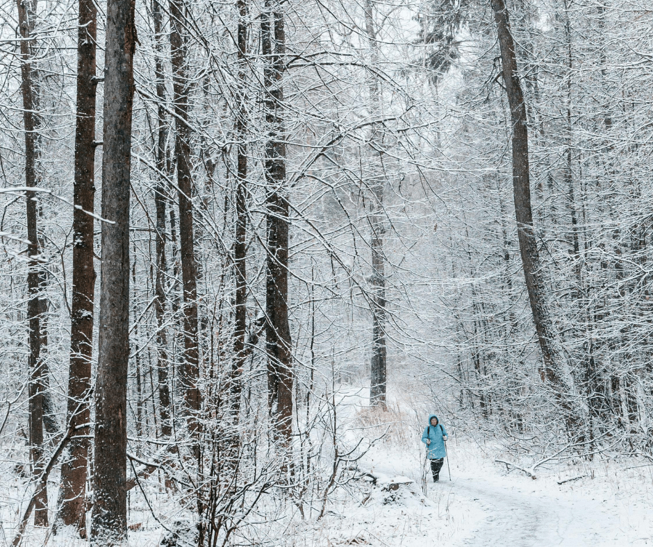 A person walking on a snowy trail surrounded by tall trees, capturing the serene beauty of a winter landscape.