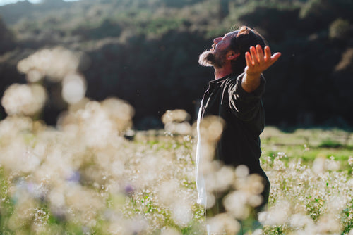 Nature's Stress Whisperers: The Traditions of Botanicals & Adaptogens