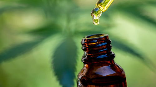 Image: tincture bottle of CBD infant of hemp leaf background