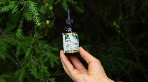 Image: Hand holding IDEAL CBD in front of tree