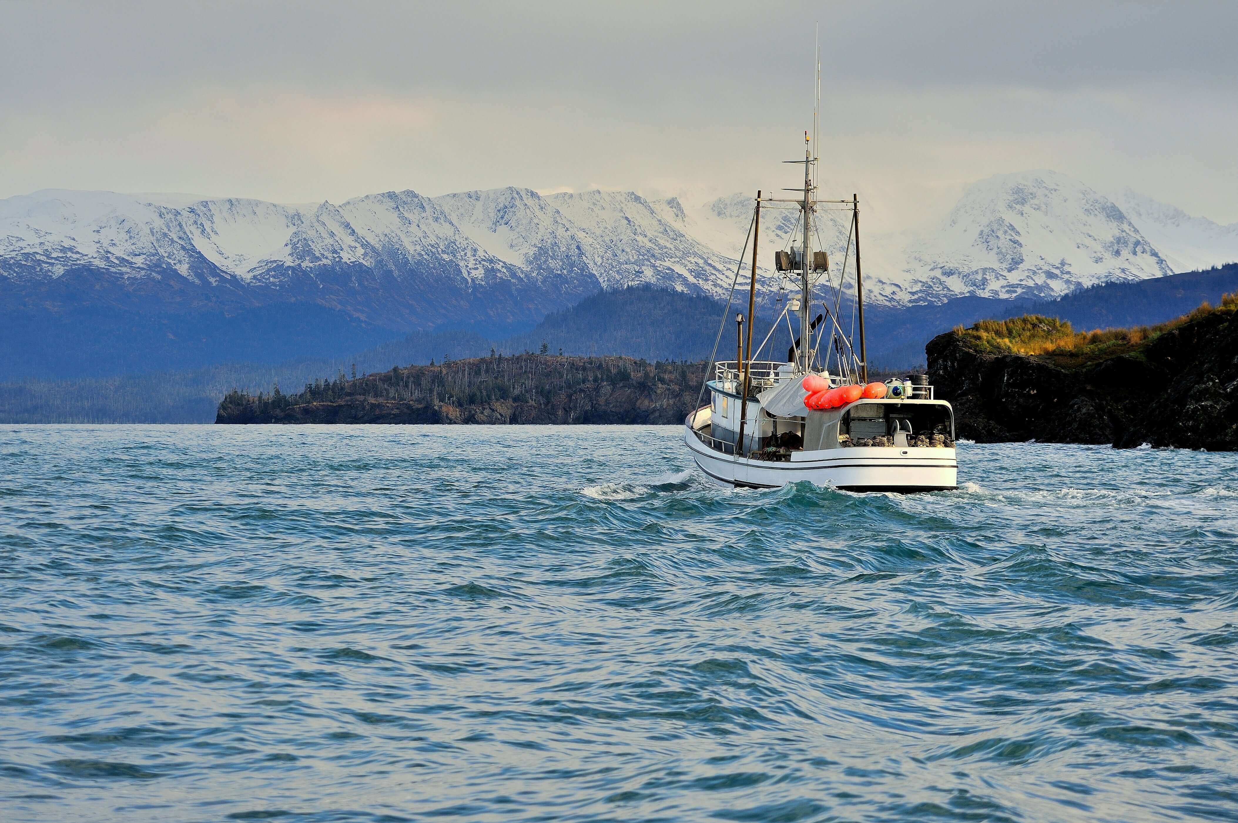 out on the ocean Navigating the Waves: Fish Oil Supply Chain in the Face of Climate Change