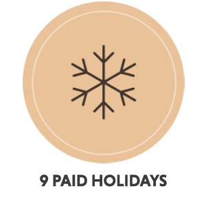 An icon of a snowflake with text: 9 paid holidays