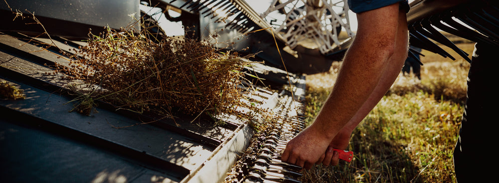 A farmer cutting a piece of a flax plant on their work equipment.
