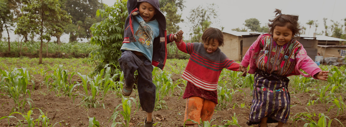 Three young children holding hands and running through a field together.